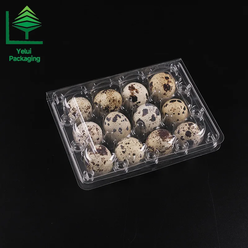 Q12 12 Quail Eggs Tray, clear PET egg packaging tray – photo 002