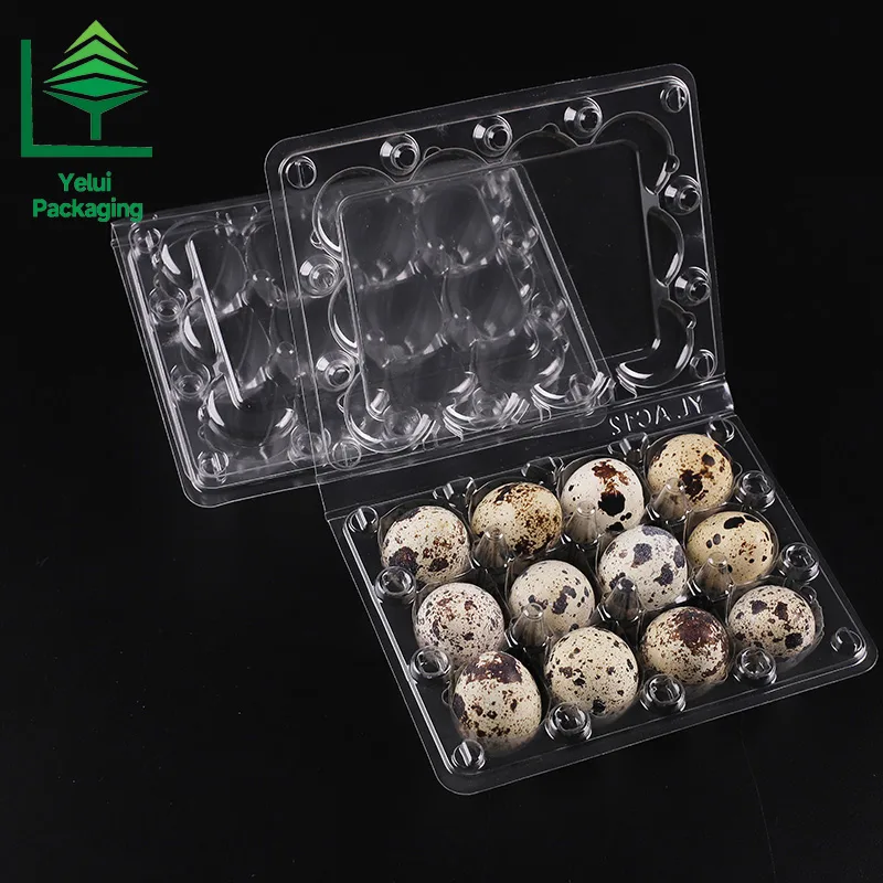Q12 12 Quail Eggs Tray, clear PET egg packaging tray – photo 006