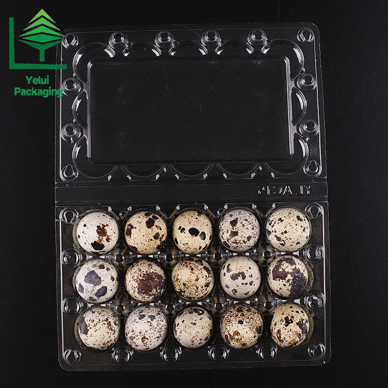Q15 15 Quail Eggs Tray, clear PET egg packaging tray – photo 002