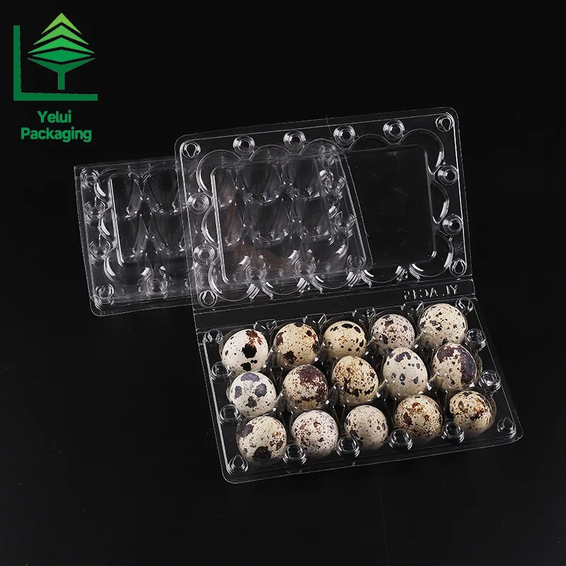Q15 15 Quail Eggs Tray, clear PET egg packaging tray – photo 003