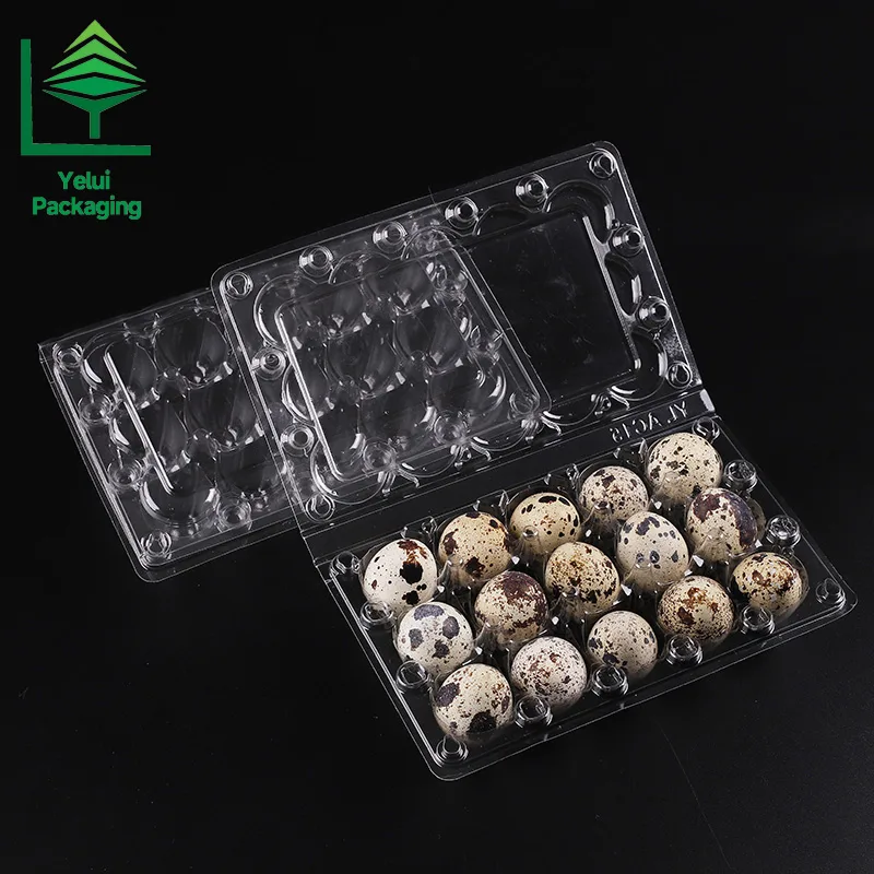 Q15 15 Quail Eggs Tray, clear PET egg packaging tray – photo 004