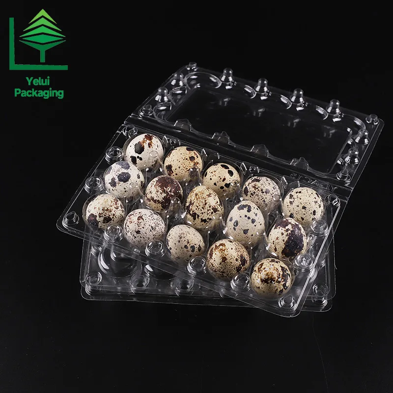 Q15 15 Quail Eggs Tray, clear PET egg packaging tray – photo 005
