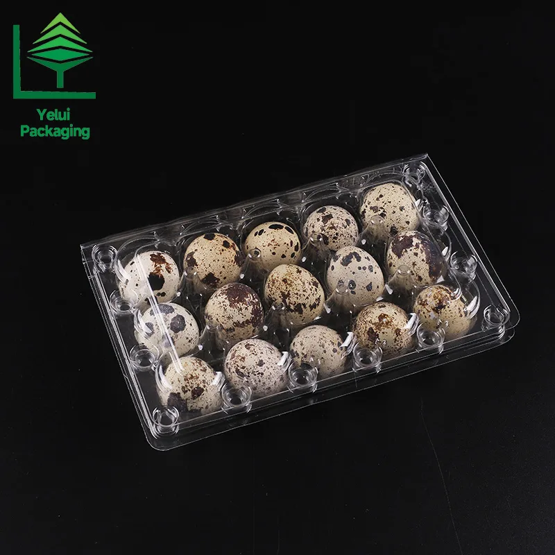 Q15 15 Quail Eggs Tray, clear PET egg packaging tray – photo 006