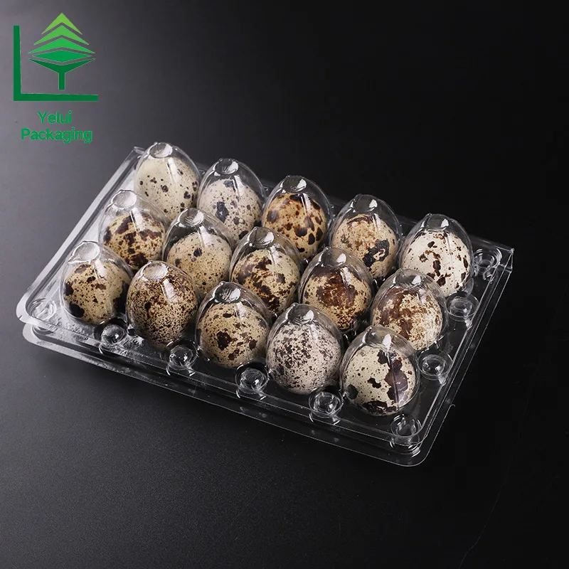 Q15 15 Quail Eggs Tray, clear PET egg packaging tray – photo 008