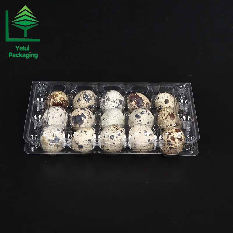 Q15 15 Quail Eggs Tray, clear PET egg packaging tray – photo 011