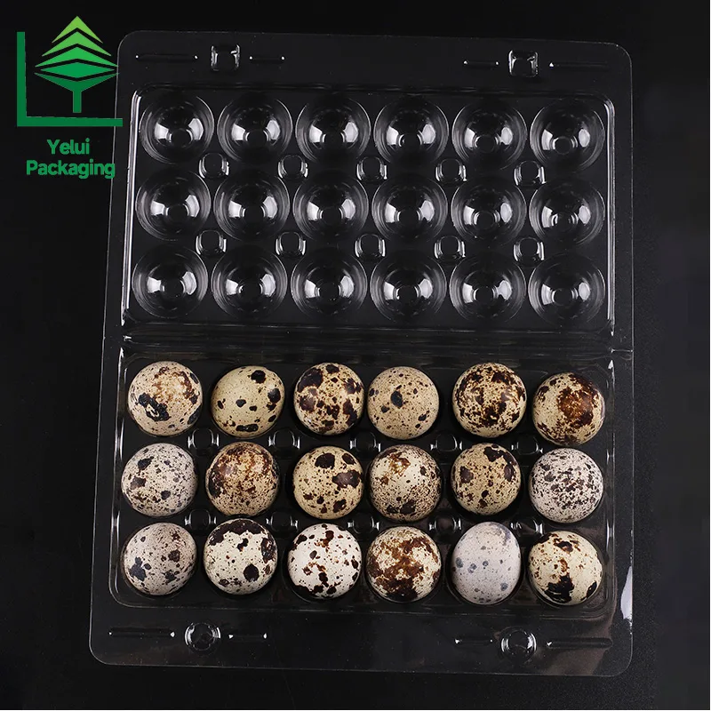 Q18SF2 18 Quail Eggs Tray with 2 Snap-Fits, clear PET egg packaging tray – photo 003