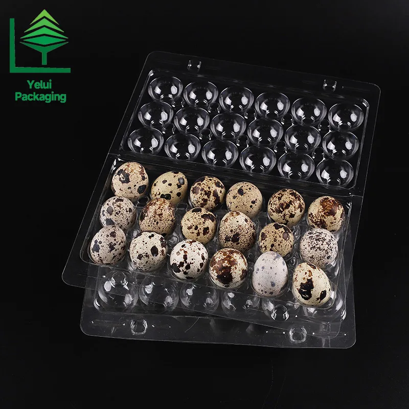 Q18SF2 18 Quail Eggs Tray with 2 Snap-Fits, clear PET egg packaging tray – photo 007