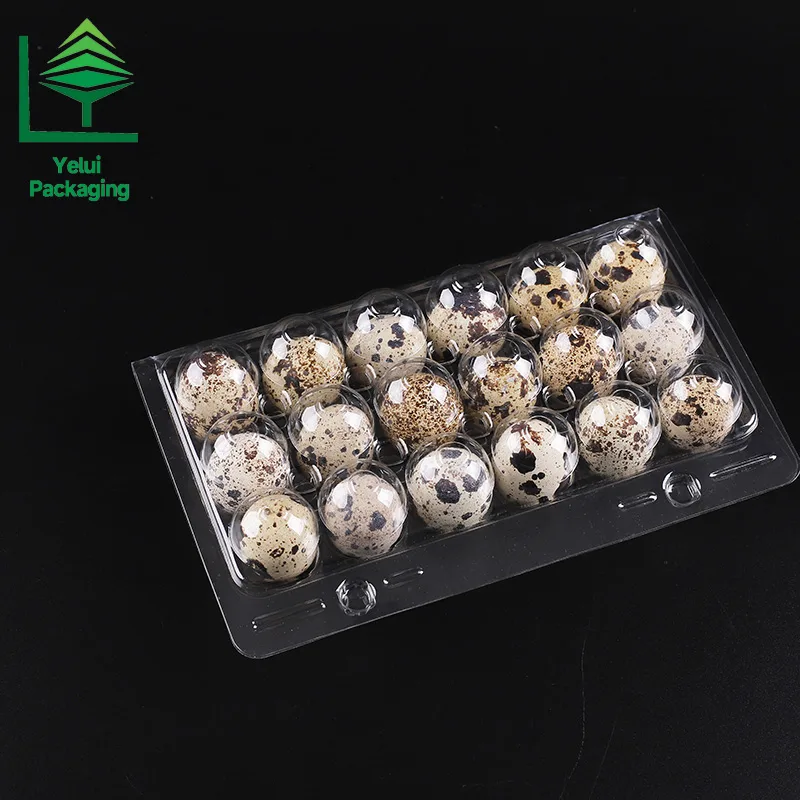 Q18SF2 18 Quail Eggs Tray with 2 Snap-Fits, clear PET egg packaging tray – photo 009