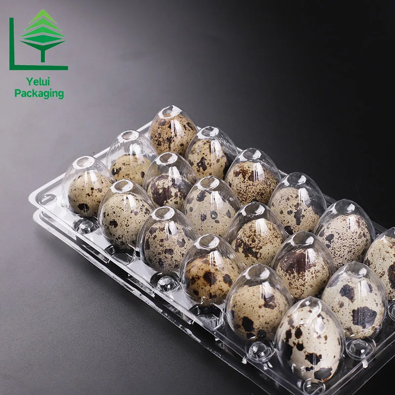 Q18 18 Quail Eggs Tray, clear PET egg packaging tray – photo 001