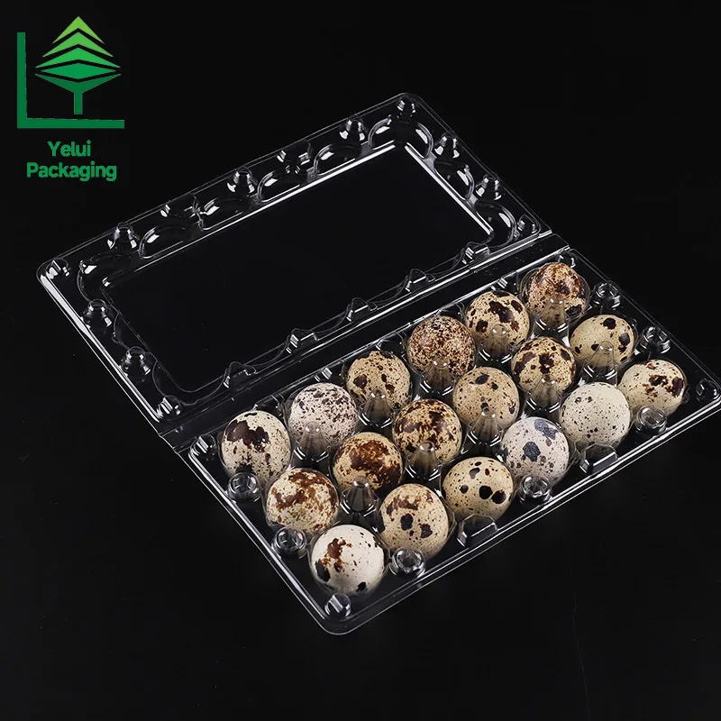 Q18 18 Quail Eggs Tray, clear PET egg packaging tray – photo 003