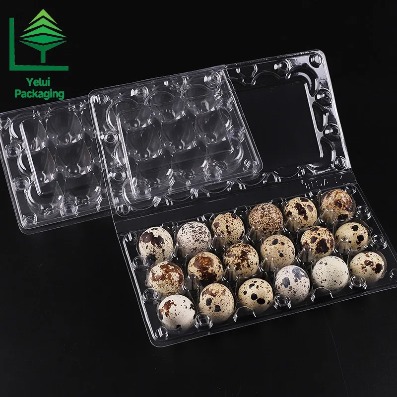 Q18 18 Quail Eggs Tray, clear PET egg packaging tray – photo 005