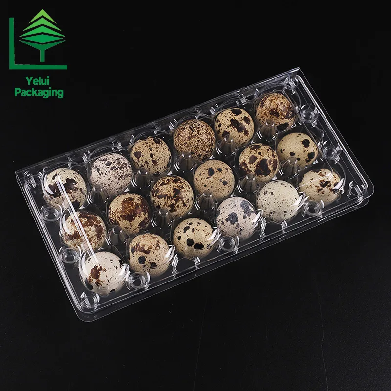 Q18 18 Quail Eggs Tray, clear PET egg packaging tray – photo 007