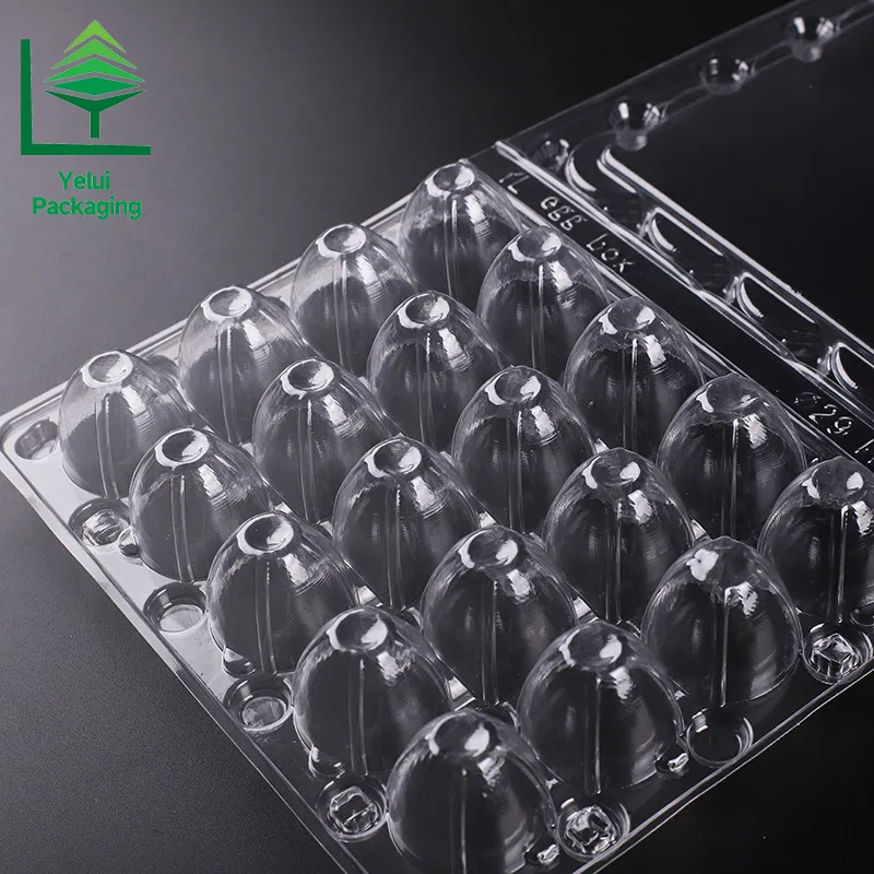 Q20 20 Quail Eggs Tray, clear PET egg packaging tray – photo 002