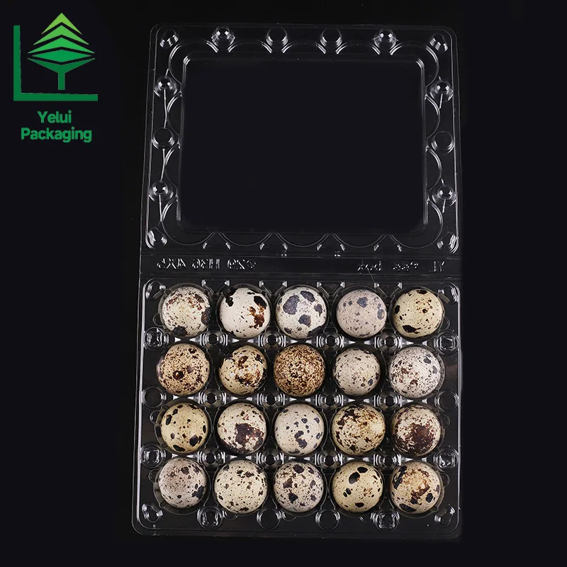 Q20 20 Quail Eggs Tray, clear PET egg packaging tray – photo 003
