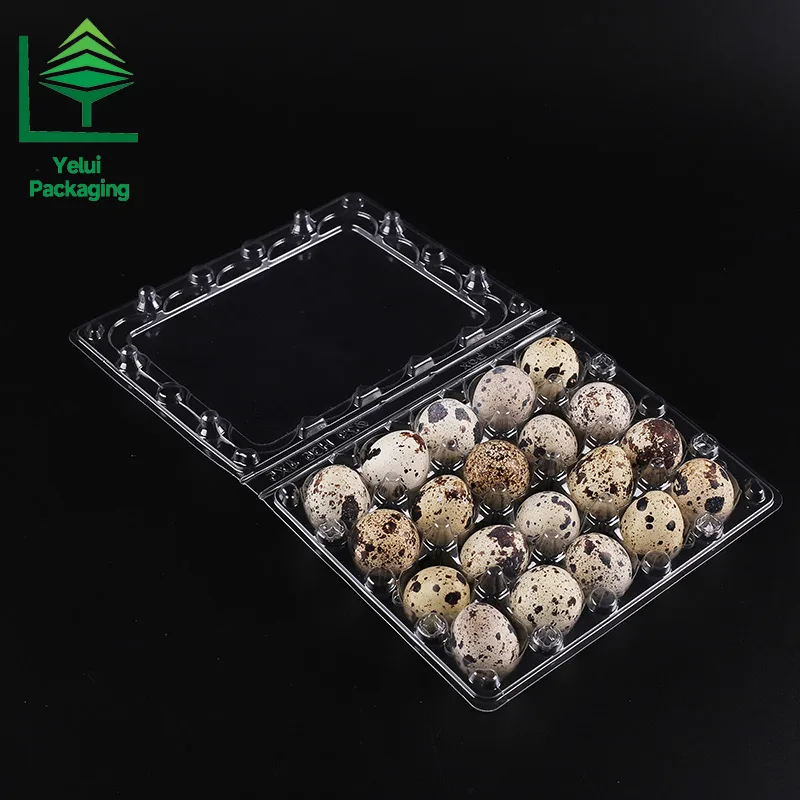Q20 20 Quail Eggs Tray, clear PET egg packaging tray – photo 004