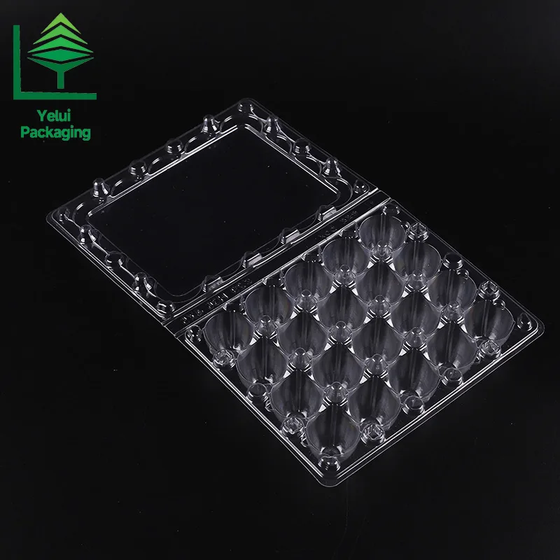 Q20 20 Quail Eggs Tray, clear PET egg packaging tray – photo 005