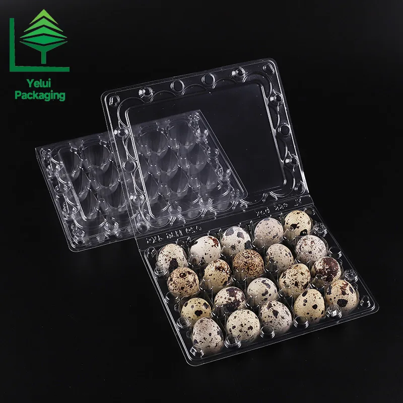 Q20 20 Quail Eggs Tray, clear PET egg packaging tray – photo 006