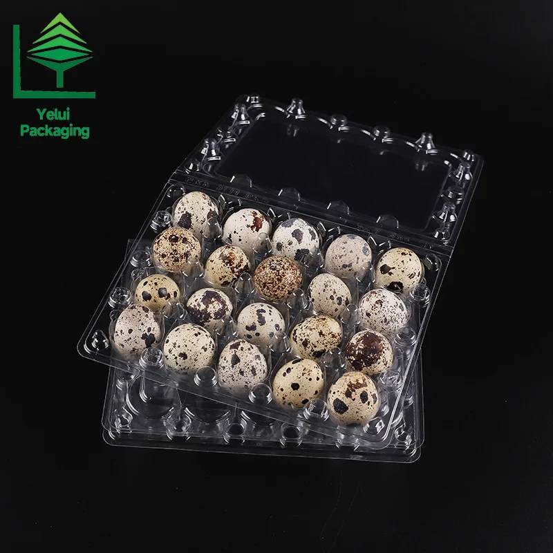 Q20 20 Quail Eggs Tray, clear PET egg packaging tray – photo 007
