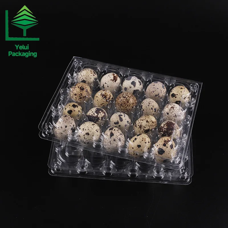 Q20 20 Quail Eggs Tray, clear PET egg packaging tray – photo 008