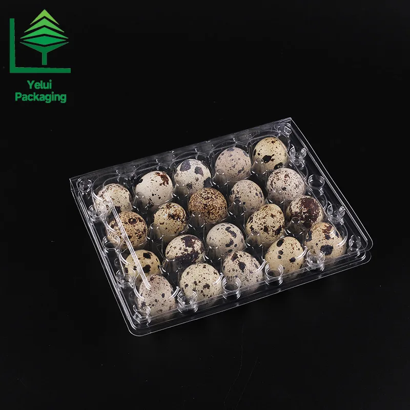 Q20 20 Quail Eggs Tray, clear PET egg packaging tray – photo 009
