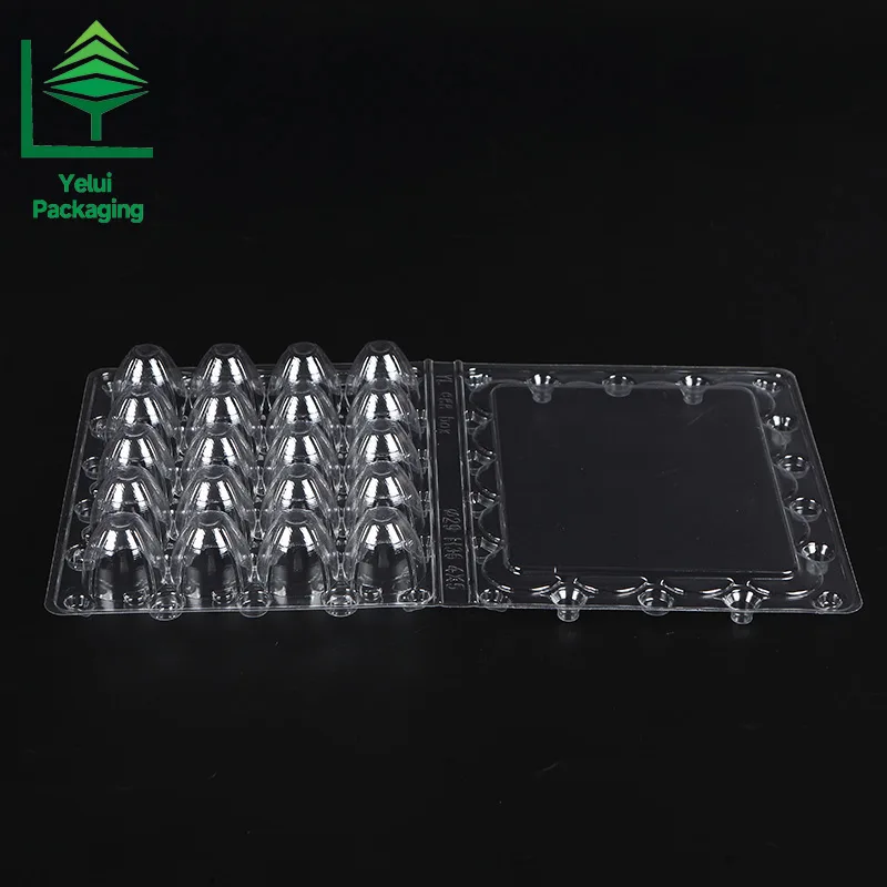 Q20 20 Quail Eggs Tray, clear PET egg packaging tray – photo 012