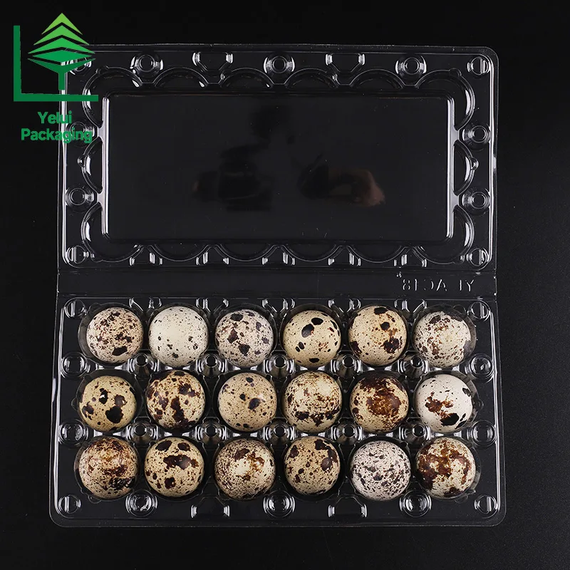 Q24L3 24 Quail Eggs Tray with 3 Layers, clear PET egg packaging tray – photo 002