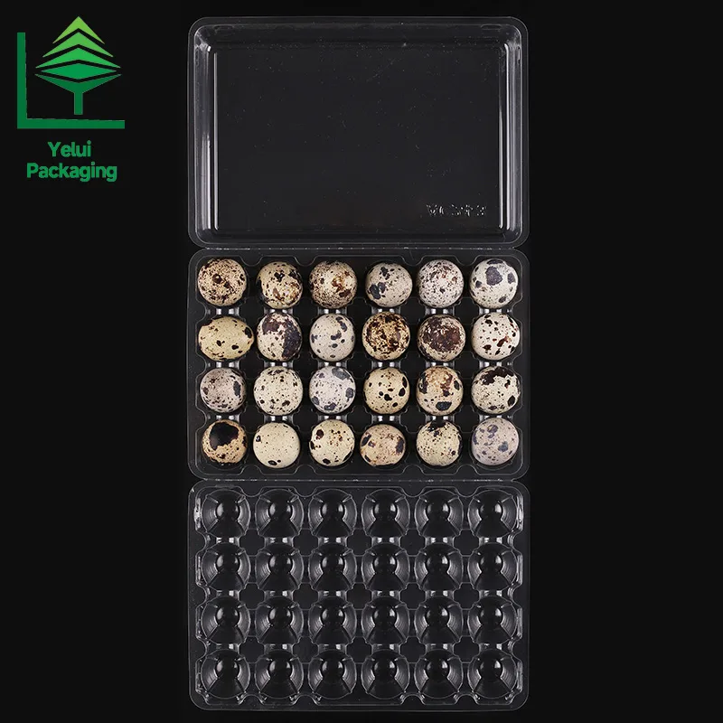 Q24L3 24 Quail Eggs Tray with 3 Layers, clear PET egg packaging tray – photo 003