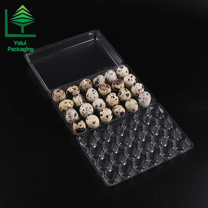 Q24L3 24 Quail Eggs Tray with 3 Layers, clear PET egg packaging tray – photo 004