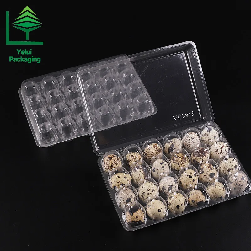 Q24L3 24 Quail Eggs Tray with 3 Layers, clear PET egg packaging tray – photo 006