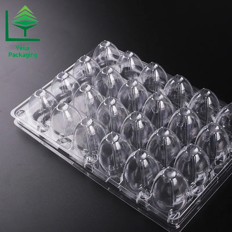 Q24 24 Quail Eggs Tray, clear PET egg packaging tray – photo 001
