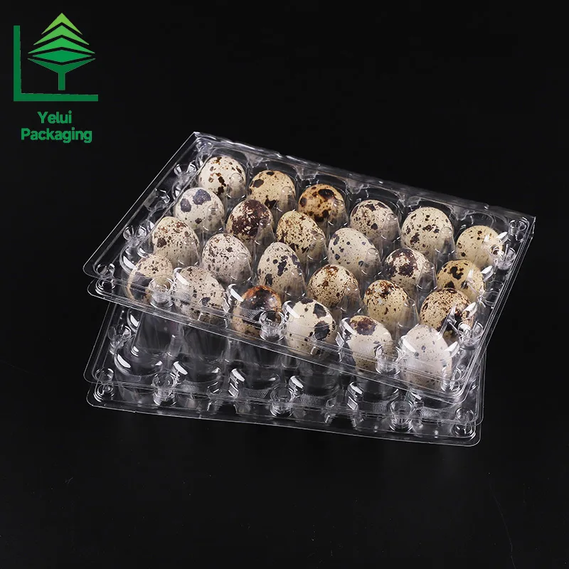 Q24 24 Quail Eggs Tray, clear PET egg packaging tray – photo 003