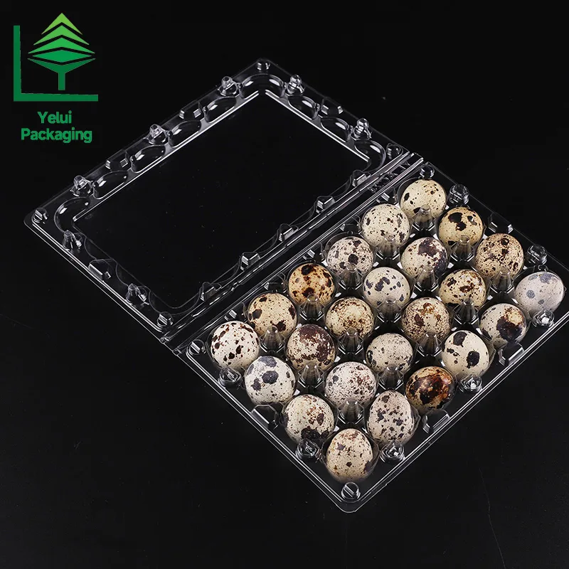 Q24 24 Quail Eggs Tray, clear PET egg packaging tray – photo 005