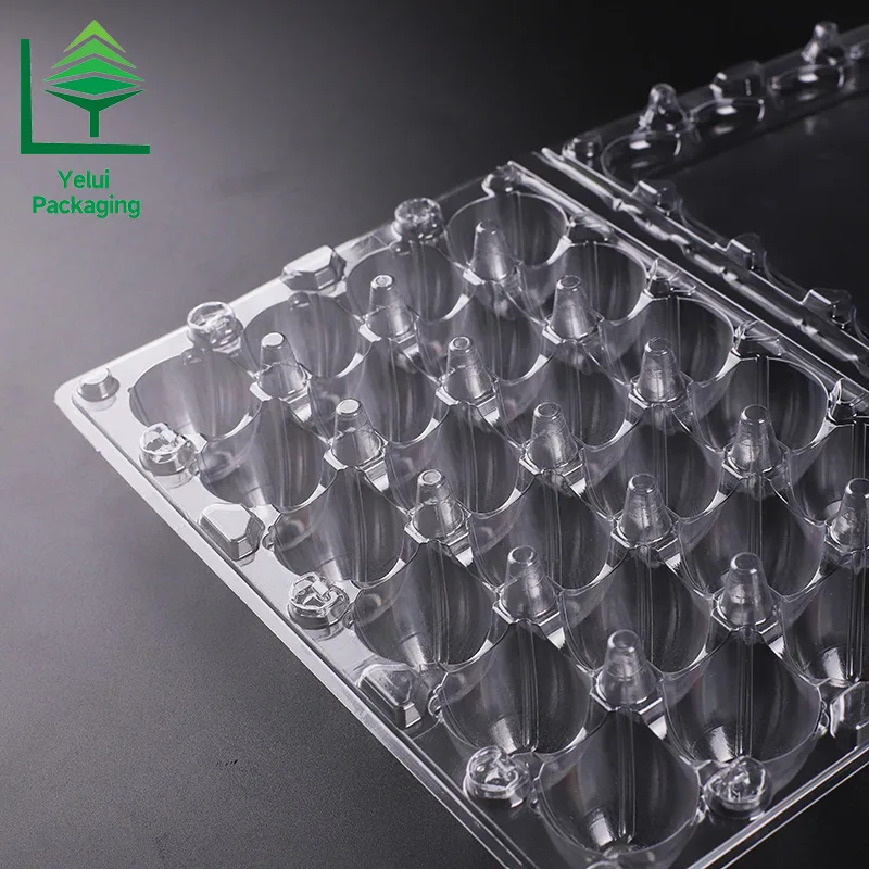 Q24 24 Quail Eggs Tray, clear PET egg packaging tray – photo 007