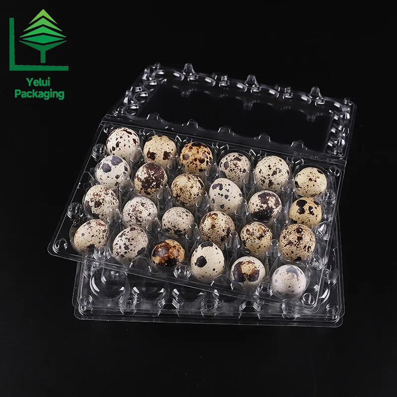Q24 24 Quail Eggs Tray, clear PET egg packaging tray – photo 009