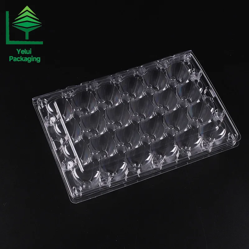 Q24 24 Quail Eggs Tray, clear PET egg packaging tray – photo 011