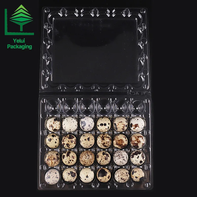 Q30 30 Quail Eggs Tray, clear PET egg packaging tray – photo 002