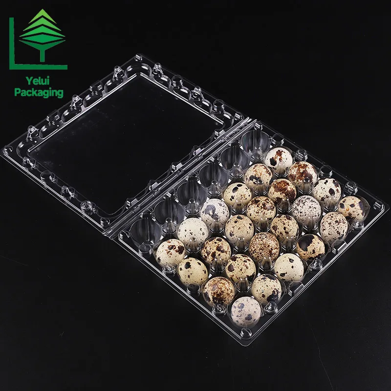 Q30 30 Quail Eggs Tray, clear PET egg packaging tray – photo 003