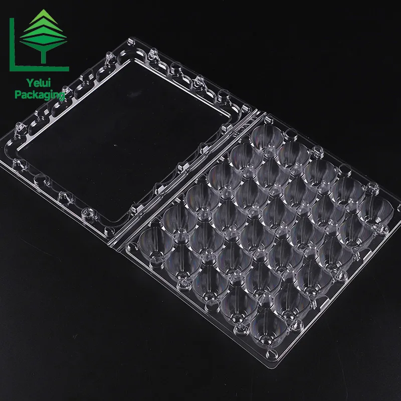 Q30 30 Quail Eggs Tray, clear PET egg packaging tray – photo 004