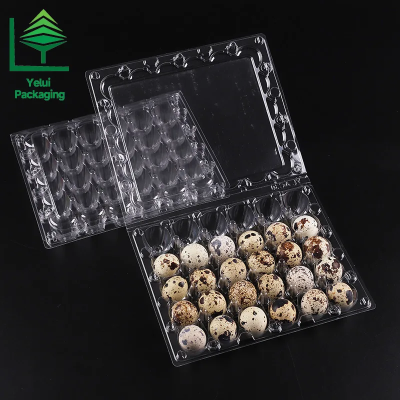 Q30 30 Quail Eggs Tray, clear PET egg packaging tray – photo 005