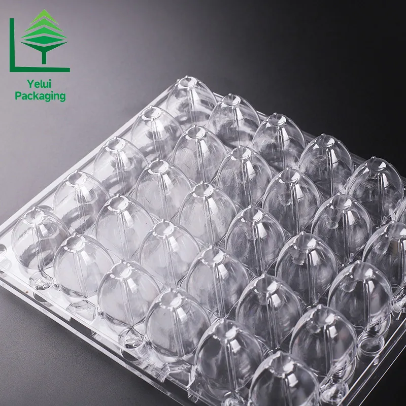 Q30 30 Quail Eggs Tray, clear PET egg packaging tray – photo 009