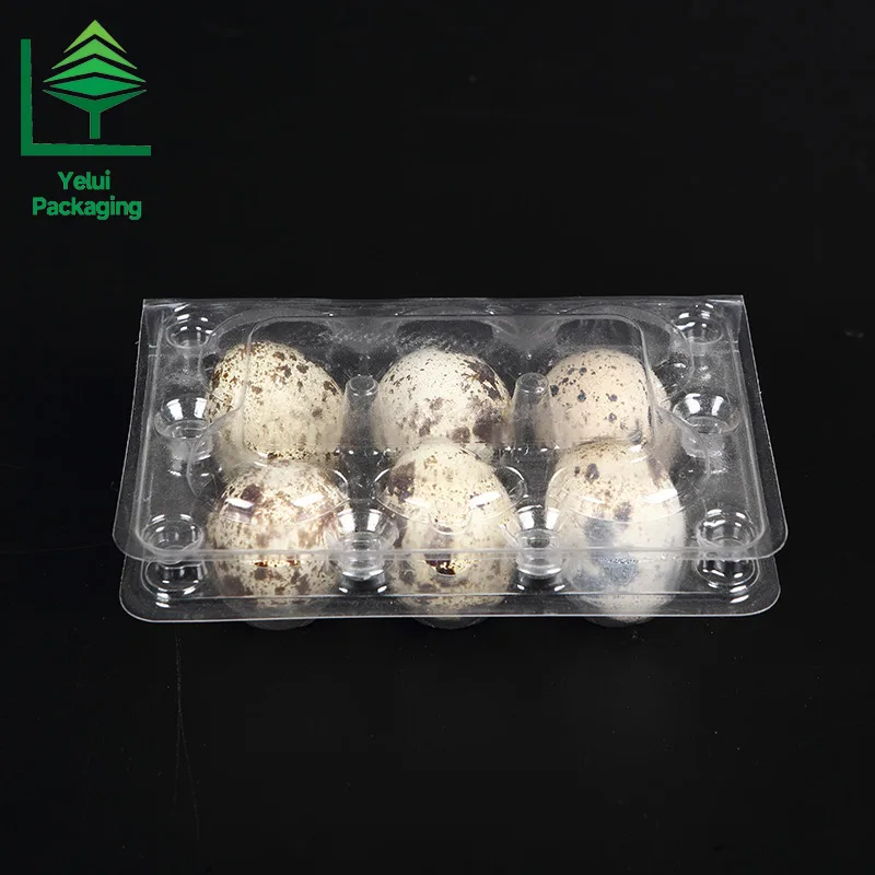 Q6_007 6-cavity clear PET quail egg tray by Yelui Packaging