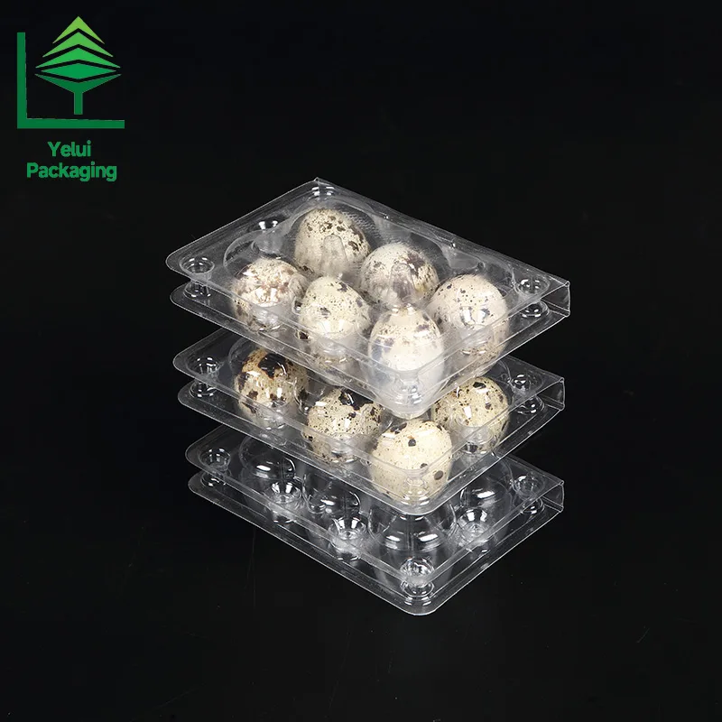 Q6_008 6-cavity clear PET quail egg tray by Yelui Packaging
