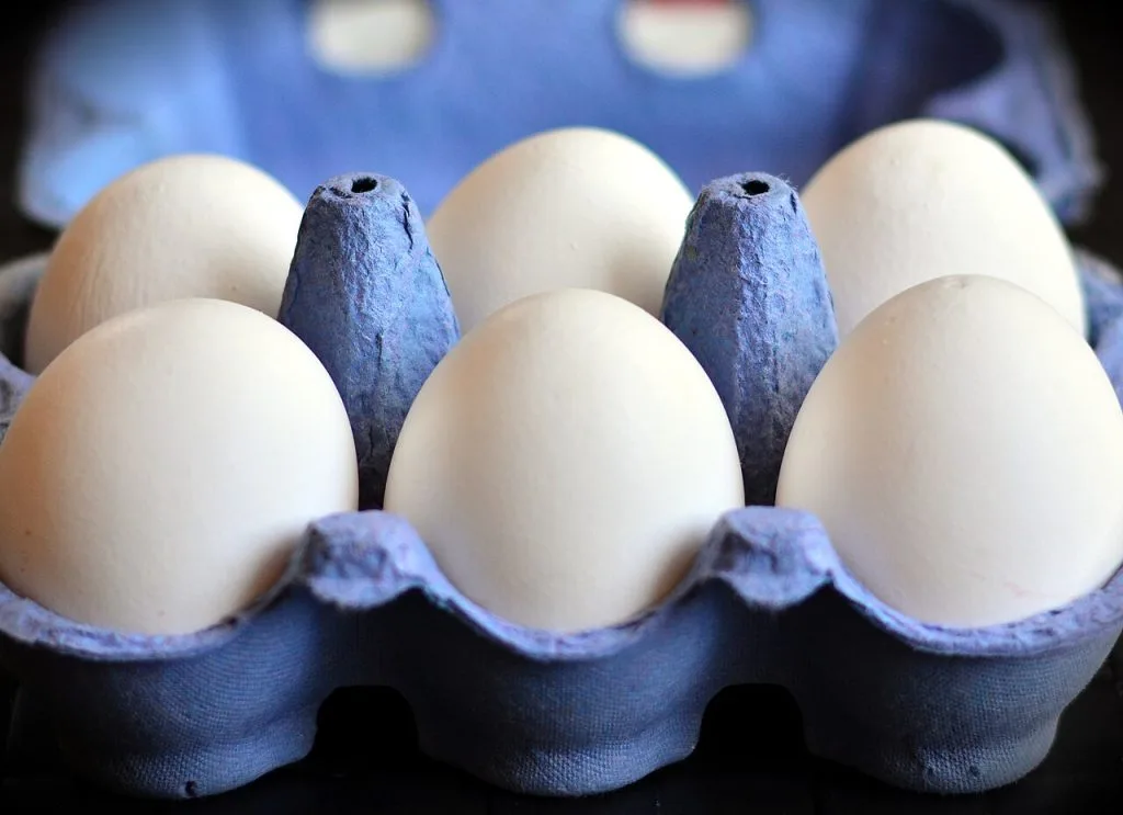 White eggs seated in individual cells of a molded carton with raised dividers holding each shell in place